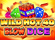 Wild Hot 40 Blow Dice Logo