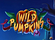 Wild Pumpkins Logo