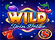 Wild Spin Deluxe Logo