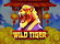 Wild Tiger Logo