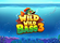 Wild Wild Bass 3 Logo