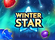 Winter Star Logo