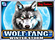 Wolf Fang Winter Storm Logo