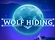 Wolf Hiding Logo