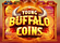 Young Buffalo Coins Logo