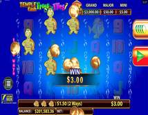 Temple Cash Frog n Flies