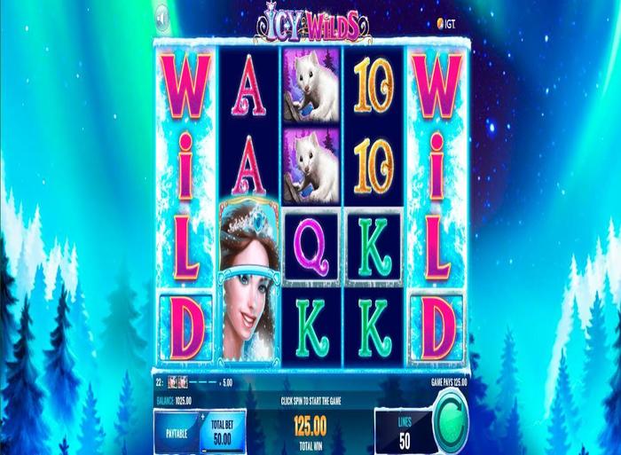 Icy wilds slot