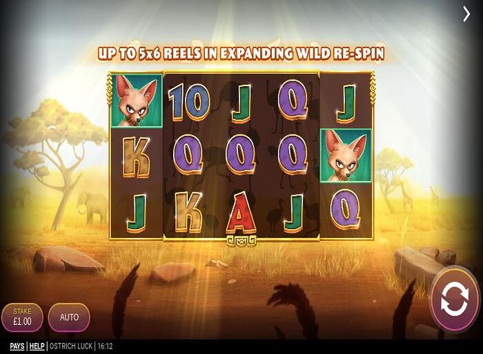 Ostrich Luck slot