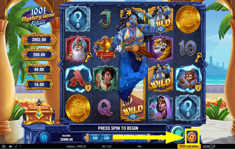 1001 Mystery Genie Fortunes ВЫБЕРИТЕ АВТОВОСПРОИЗВЕДЕНИЕ.