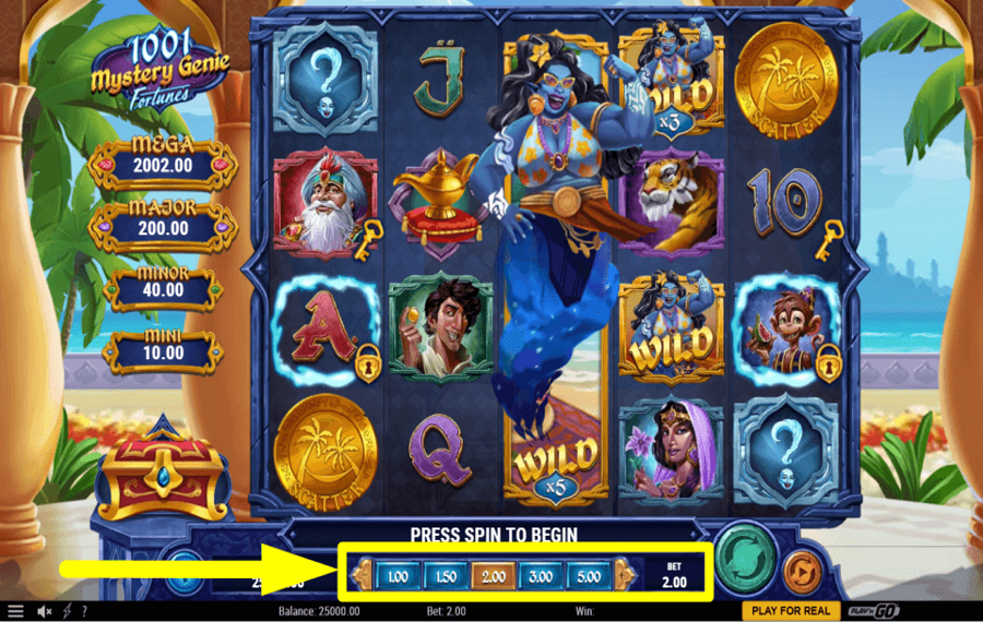 1001 Mystery Genie Fortunes ДЕЛАЙТЕ СТАВКУ.