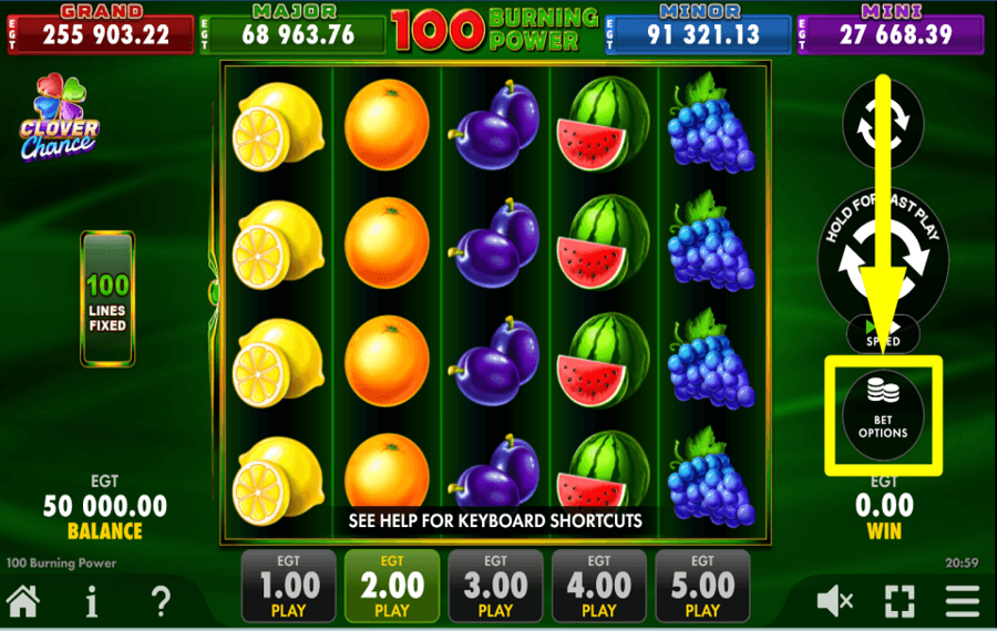 100 Burning Power Clover Chance WÄHLEN SIE IHREN EINSATZ.