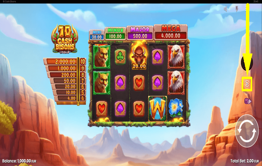10 Cash Bisons ВРАЩЕНИЕ АВТОМАТИЧЕСКОЕ.