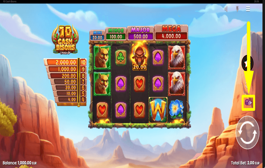 10 Cash Bisons ВЫБЕРИТЕ СТАВКУ.