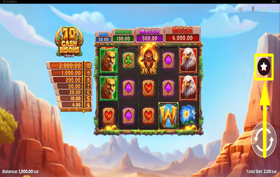 10 Cash Bisons МАГАЗИН ДЛЯ ВРАЩЕНИЙ.