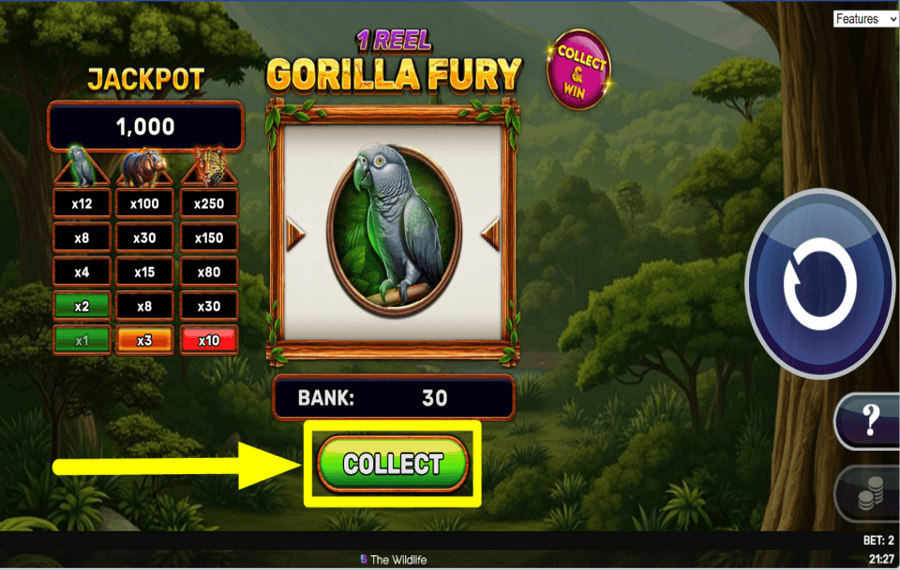 1 Reel Gorilla Fury ЗАБЕРИ СВОЙ ПРИЗ.