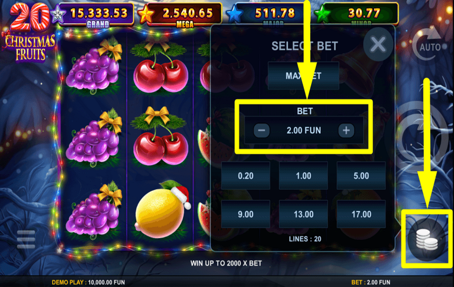 20 Christmas Fruits PLACE YOUR WAGER.