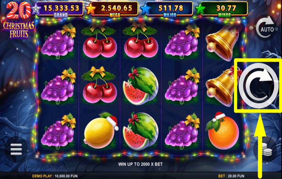 20 Christmas Fruits PROCEED TO GAMBLE.