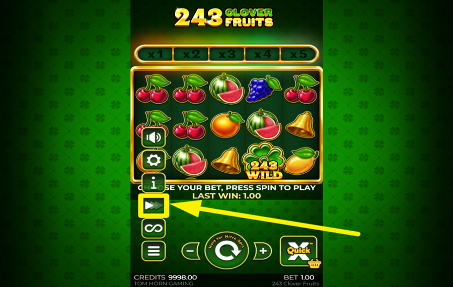 243 Clover Fruits УВЕЛИЧЬ ТЕМП.
