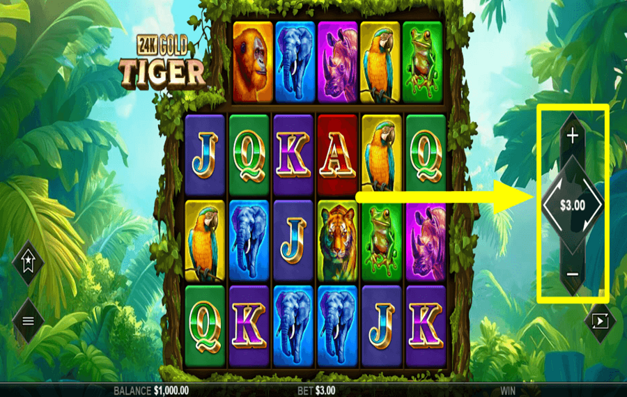 24K Gold Tiger Setzen Sie den Gesamteinsatz.