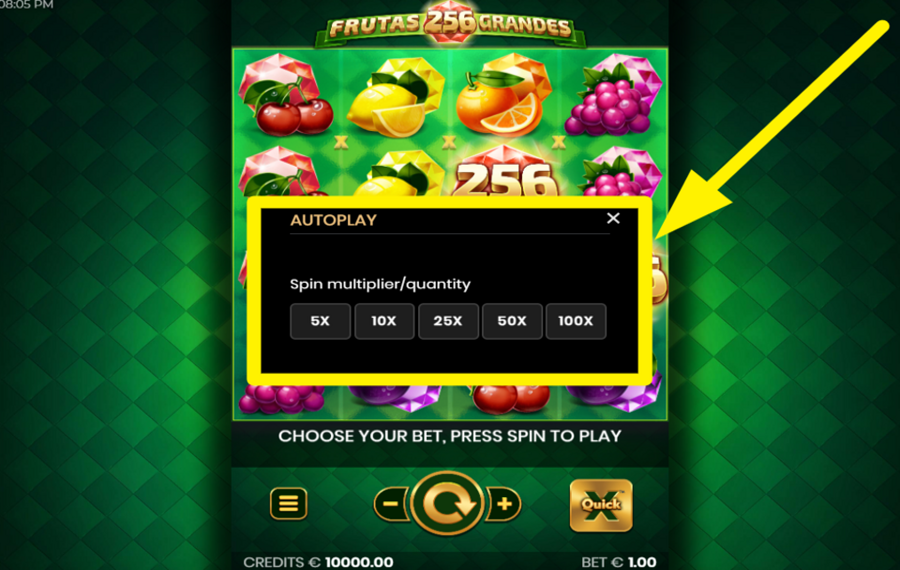 256 Frutas Grandes ИСПОЛЬЗУЙТЕ АВТОМАТИЧЕСКОЕ ВРАЩЕНИЕ.