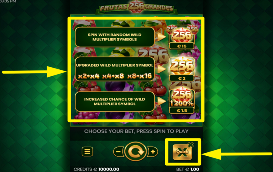 256 Frutas Grandes ВКЛЮЧИТЕ ФУНКЦИЮ QUICKX.