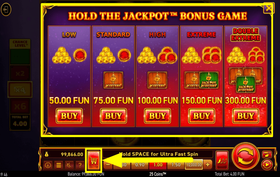 25 Coins PURCHASE BONUS GAMES.