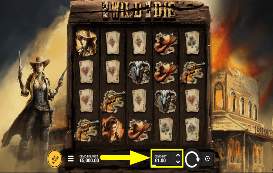 2 Wild 2 Die SET THE TOTAL BET.