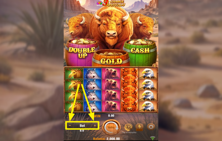 3 Charge Buffalo SELECT YOUR STAKE.