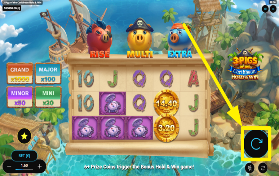 3 Pigs of the Caribbean TOURNEZ POUR LA VICTOIRE !