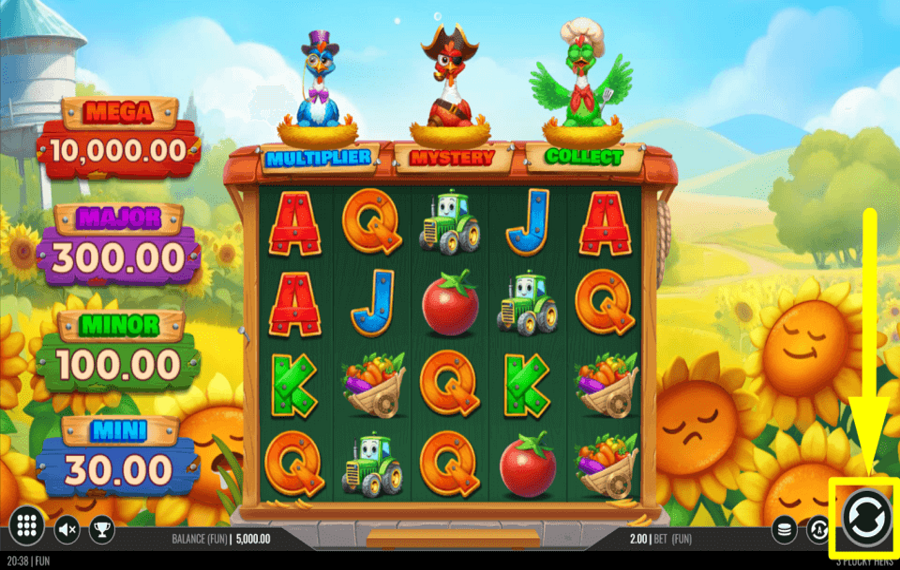 3 Plucky Hens GO FOR A SPIN.