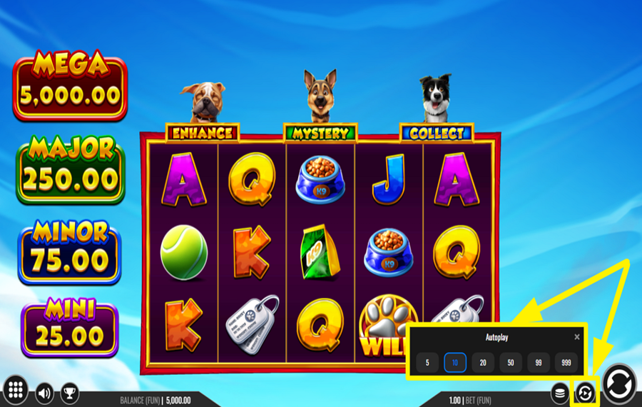 3 Top Dogs INITIATE AUTOMATIC SPINS.