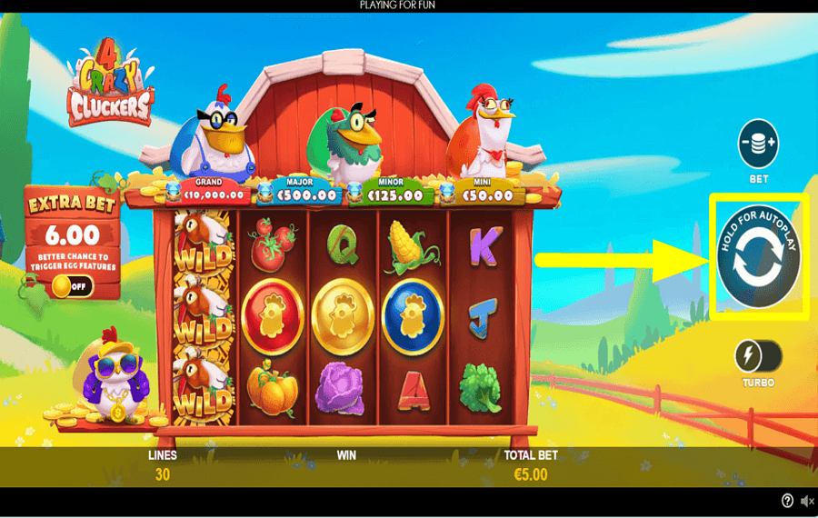 4 Crazy Cluckers CHASE THE PRIZE.