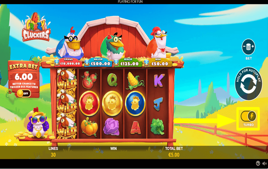 4 Crazy Cluckers CHANGE THE PACE.