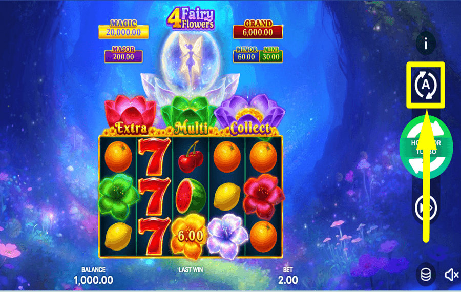 4 Fairy Flowers Hold and Win PROCEED AUTOMATICALLY.