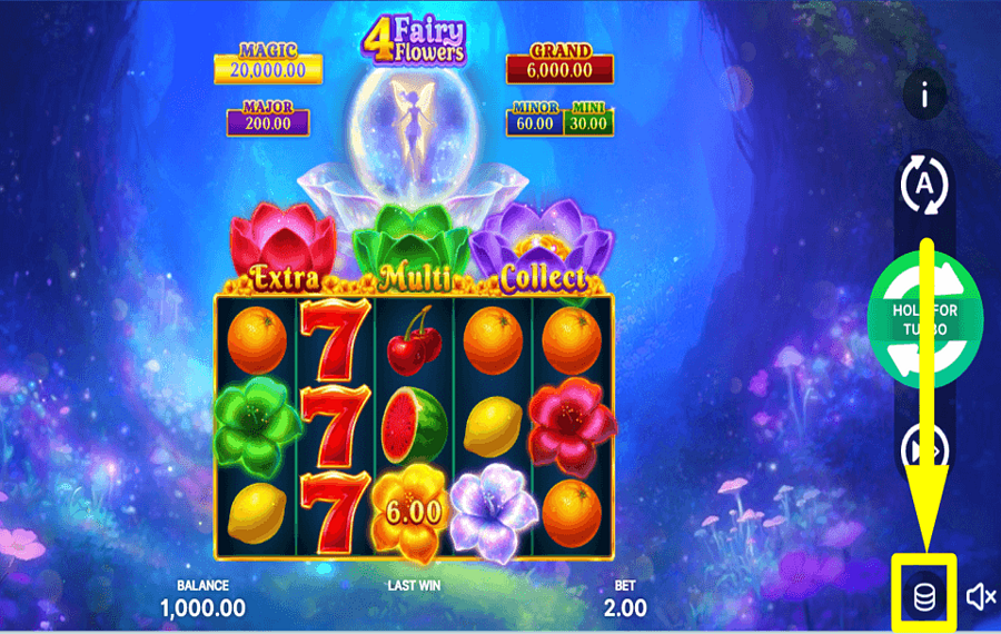 4 Fairy Flowers Hold and Win PLACE YOUR WAGER.
