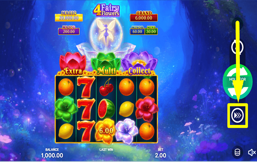 4 Fairy Flowers Hold and Win PICK UP THE PACE.