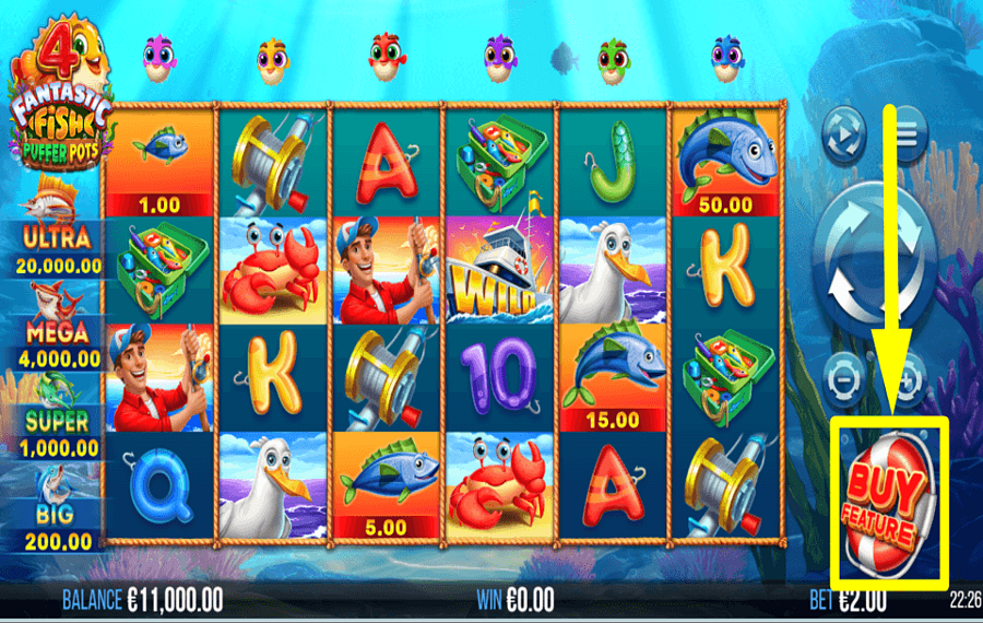 4 Fantastic Fish Puffer Pots RÉCLAMEZ LA BONUS.