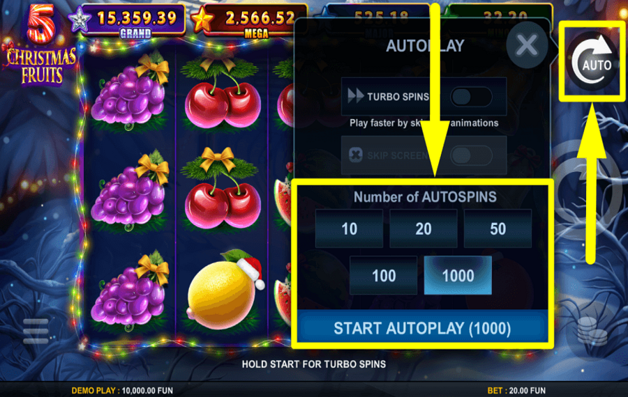 5 Christmas Fruits USE AUTOPLAY.