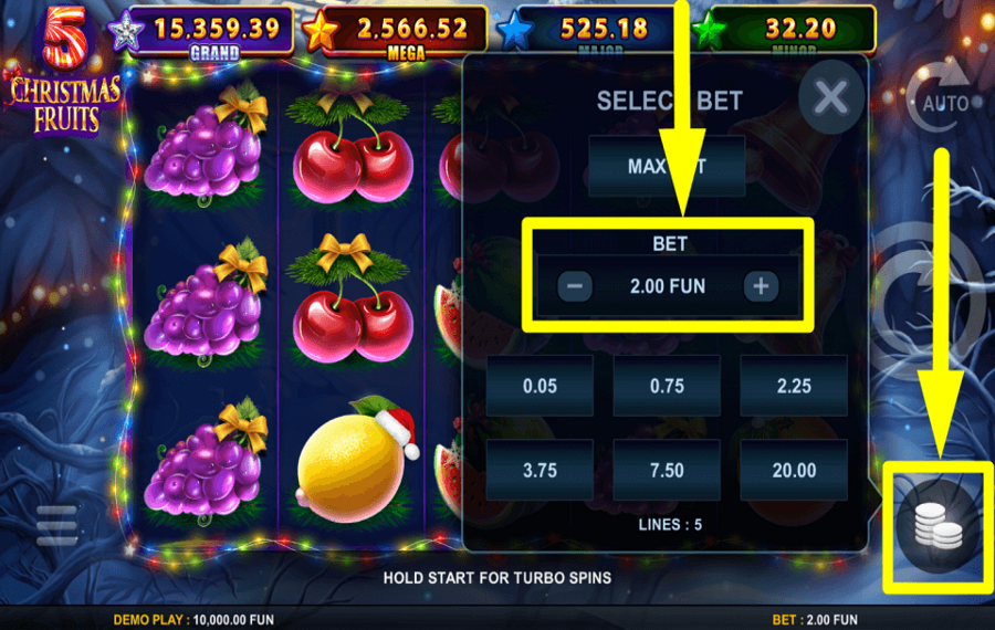 5 Christmas Fruits DETERMINE THE STAKE.