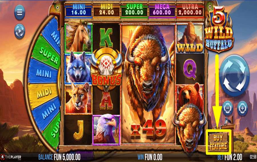 5 Wild Buffalo ПОКУПКА ОСОБЕННОСТЕЙ.