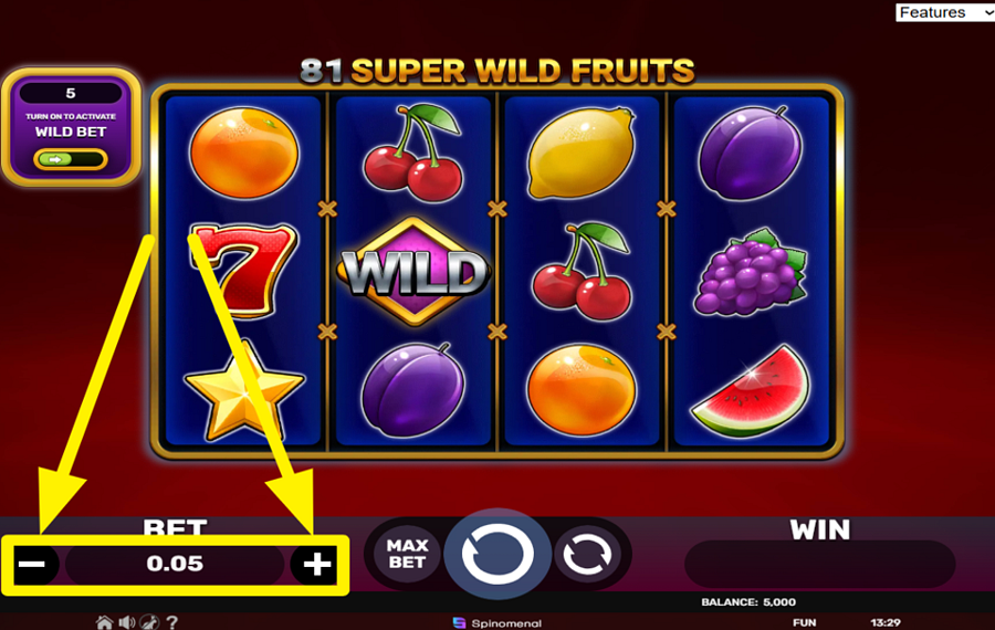81 Super Wild Fruits ASSIGN A BET VALUE.