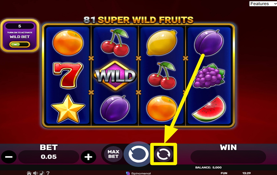 81 Super Wild Fruits UTILIZE AUTOPLAY.