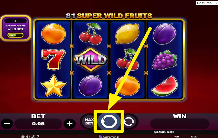 81 Super Wild Fruits SPIN FOR SUCCESS!