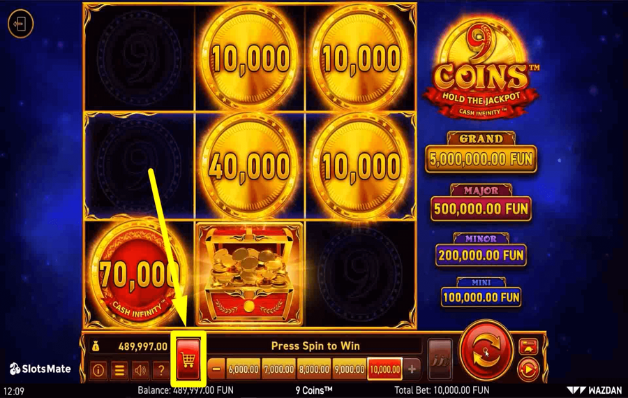 9 Coins Utilizzando la funzione opzionale “Bonus Buy”.