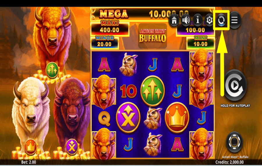 Action Ways Buffalo ВКЛЮЧИТЬ АВТОВОСПРОИЗВЕДЕНИЕ.