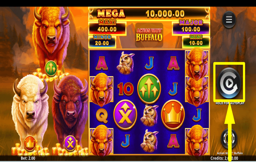 Action Ways Buffalo СТРЕМИТЕСЬ К ПРИЗУ.