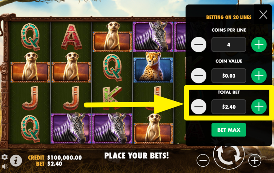 African Elephant ADJUST YOUR TOTAL WAGER.