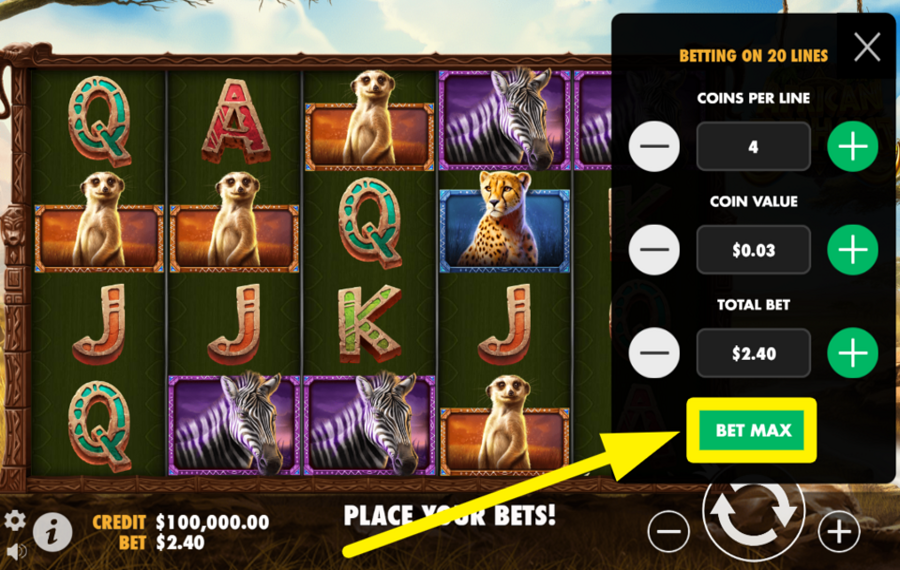 African Elephant SELECT THE TOP BETTING OPTION.
