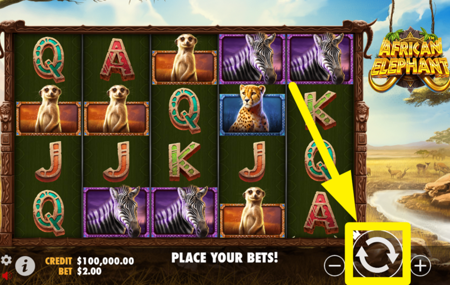 African Elephant JOIN THE SPINNING.