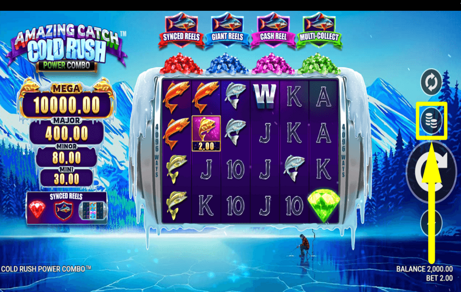 Amazing Catch Cold Rush Power Combo ВЫБЕРИТЕ СВОЮ СТАВКУ.